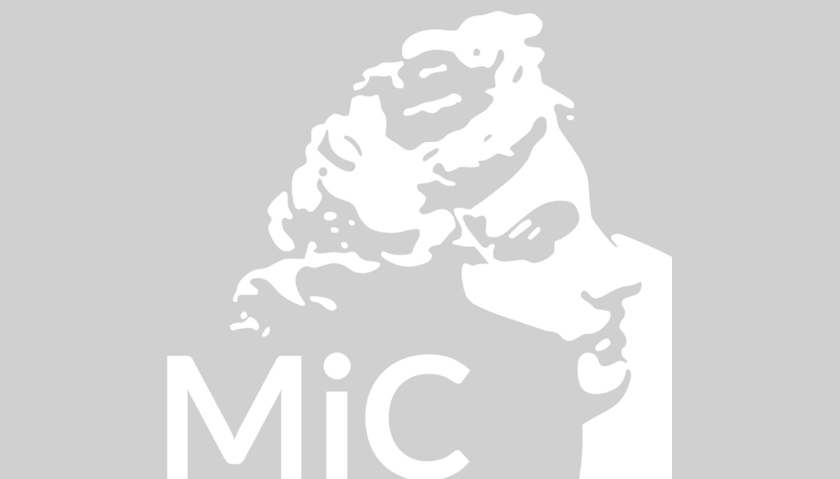 logo MIC grigio